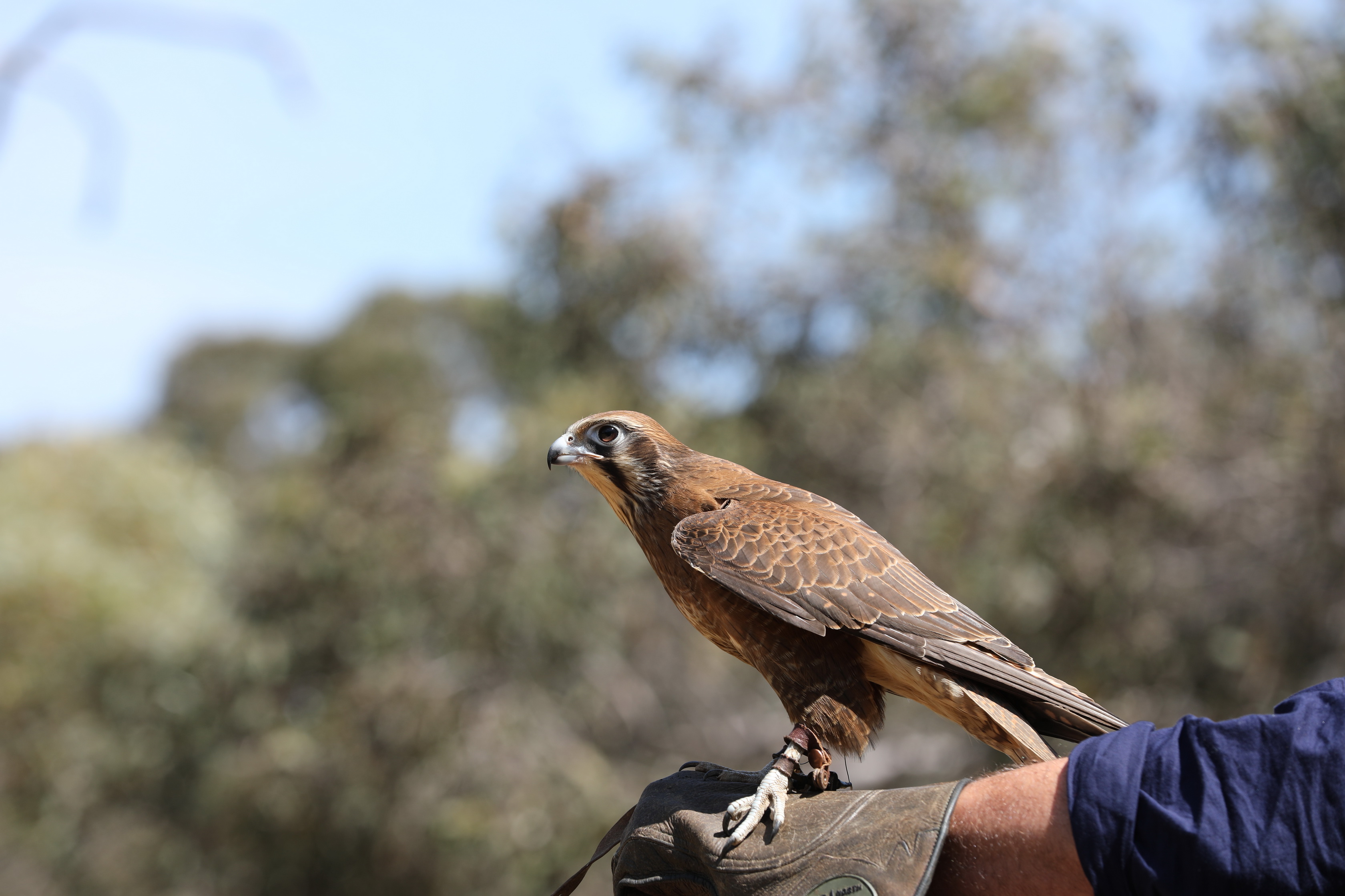 2019 10 04 12 06 40 Canon EOS 5D Mark IV 0014